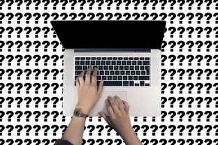 米乐体育在线-塔斯马尼亚联防守体系升级，迎接关键战